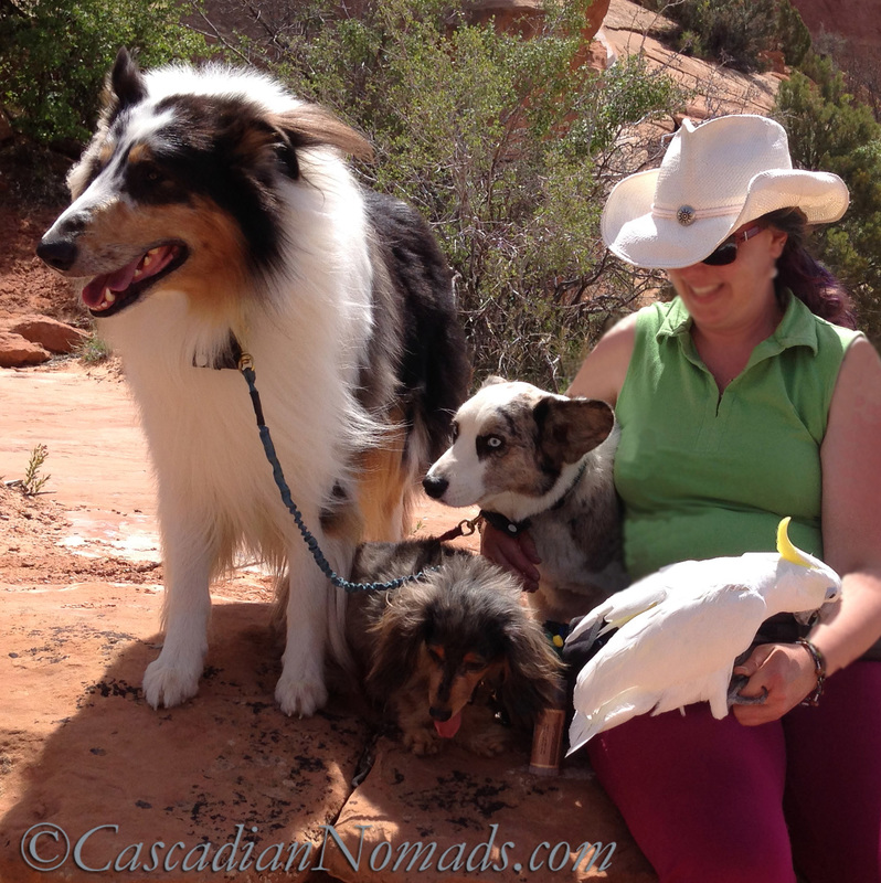 Cascadian Nomads adventurous dogs and parrot with pet and travel blogger, Bethany Clochard.
