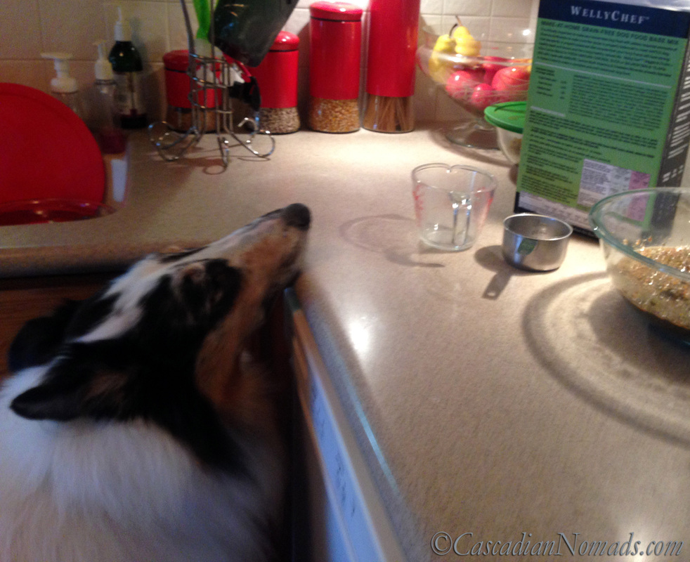 Would Your Dog Like To Help You In The Kitchen? #WellyTails Easy, nutritionally complete make at home dog food: WellyTails WellyChef WellyChef Veggie & Fruit + Chia Canine Blend review.