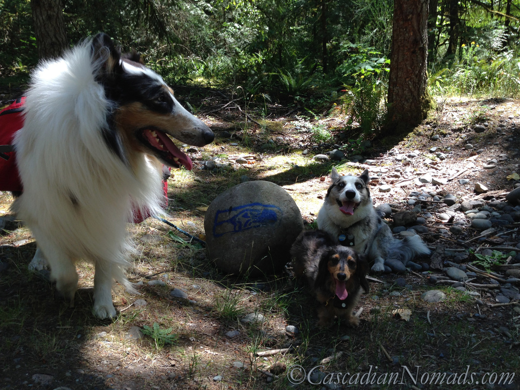 12th Pups Pose with Seahawks Rock, Game Farm Park, Aubirn Washington, Cascadia
