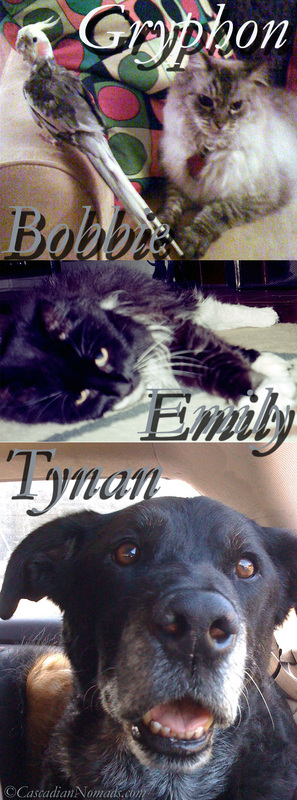 Cascadian Nomads Founding Pets: Cockatiel Bobbie Birdie, cats Emily and Gryphon and dog Tynan.