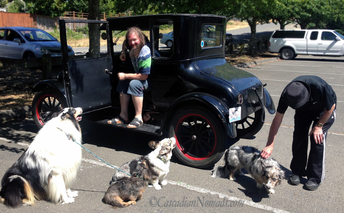 Four dogs greet the Father's after a Model T ride
