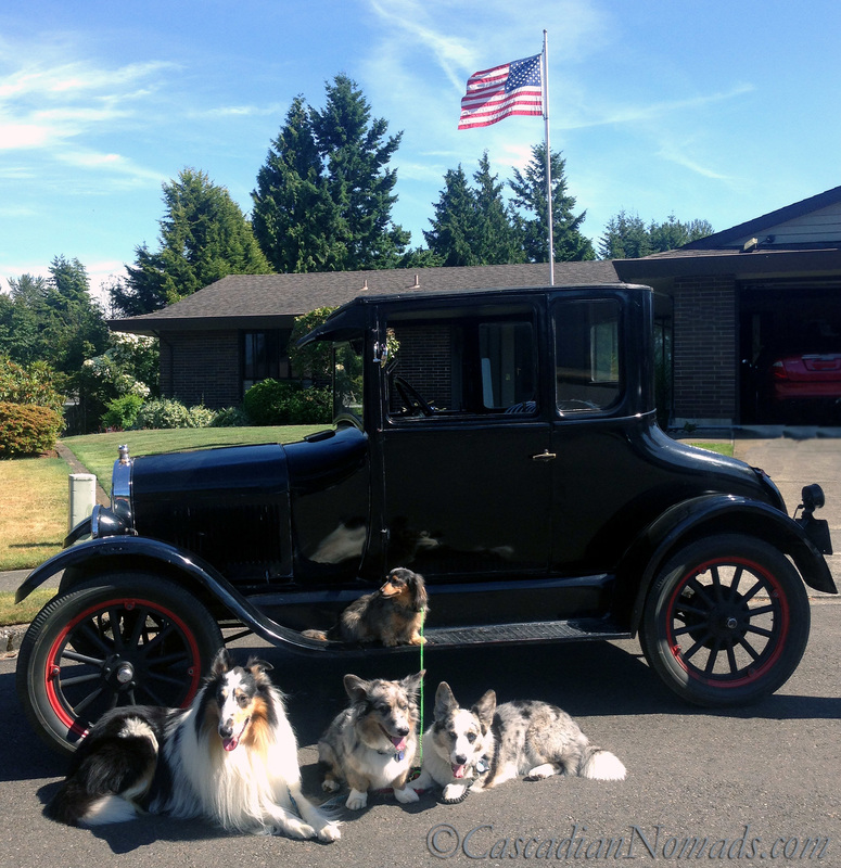 Four dogs and a 1924 Model T