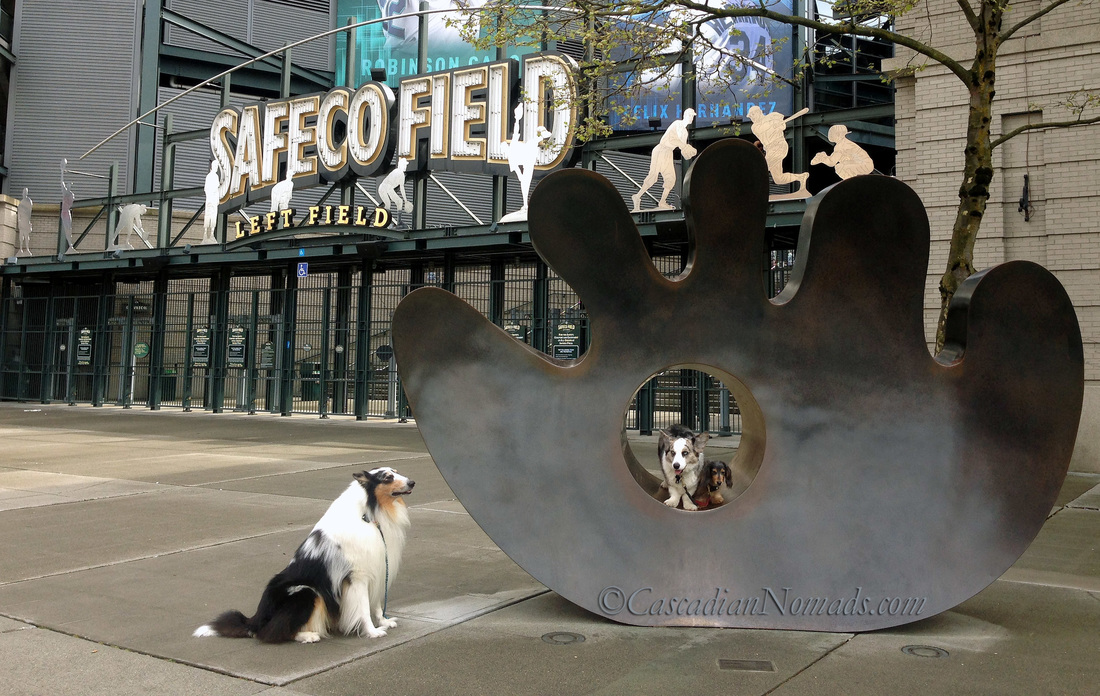 Three dogs at Safeco Field Left Field, Cardigan Welsh corgi, Brychwyn, miniature dachshund Wilhelm inside and rough collie Huxley next to The Mitt