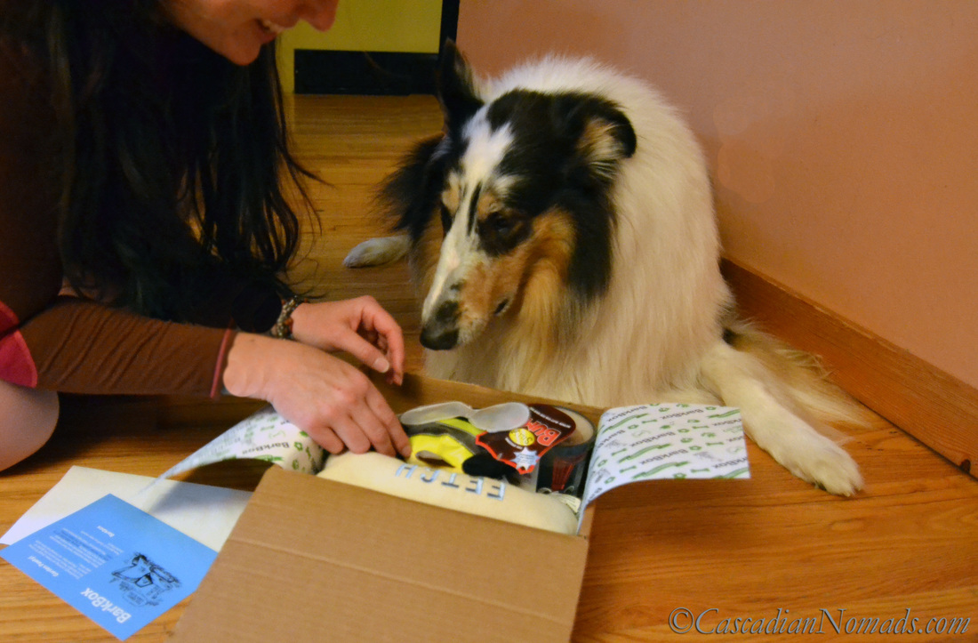 A Human, A Dog, A Box & Special Time Together: Human-Canine Bond Enrichment On #BarkBoxDay