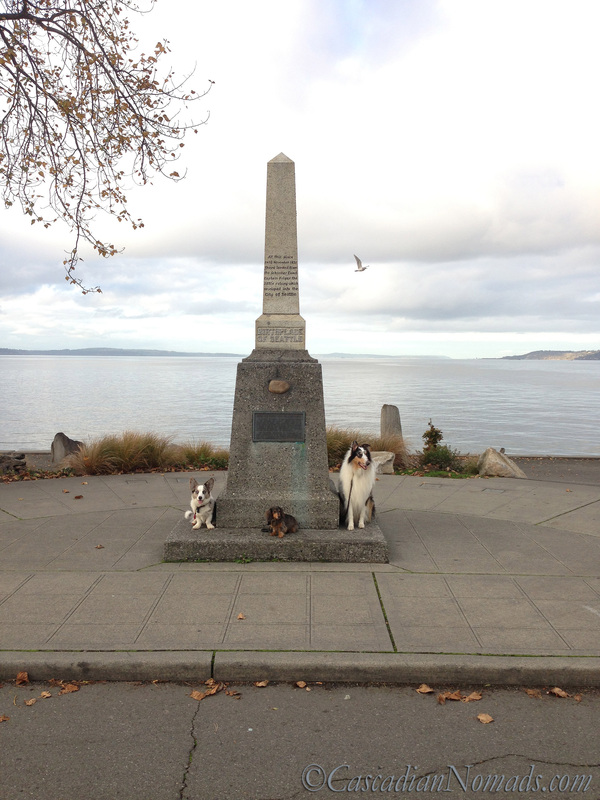 A Remarkable Seattle Site's Historic Monument Sounds Dull But There Are Dogs: corgi, dachshund, collie and seagull at the Denny Landing Monument