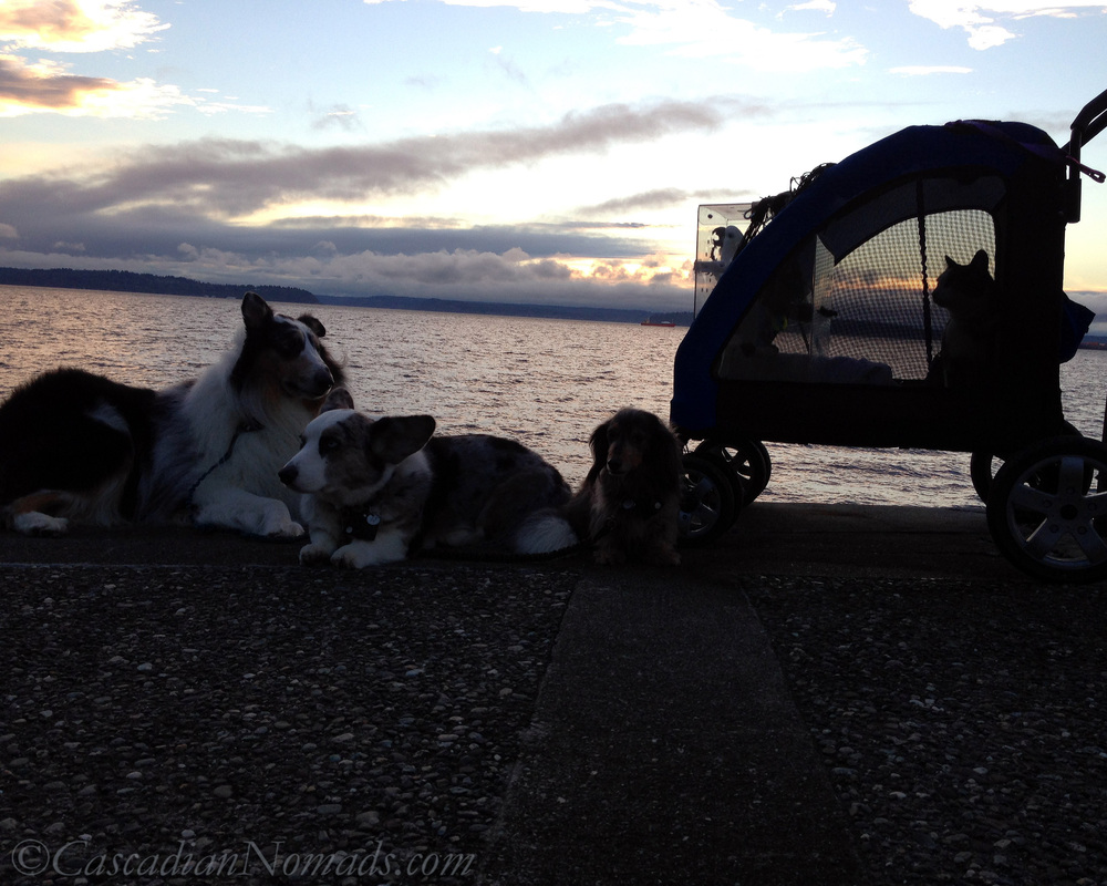 The Cascadian Nomads out for a winter sunset adventure to cheer each other up