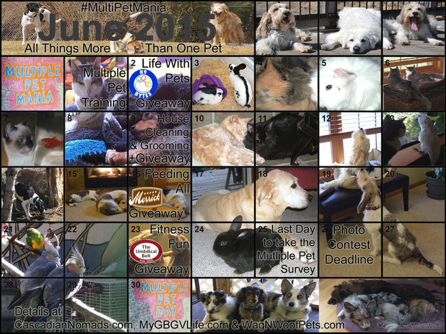 Multiple Pet Mania Month, June 2015, Calendar