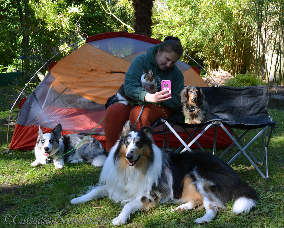 Camping With Dogs: Is Tearing Down Camp To Find A Vet Necessary? #VetOnDemand App Review