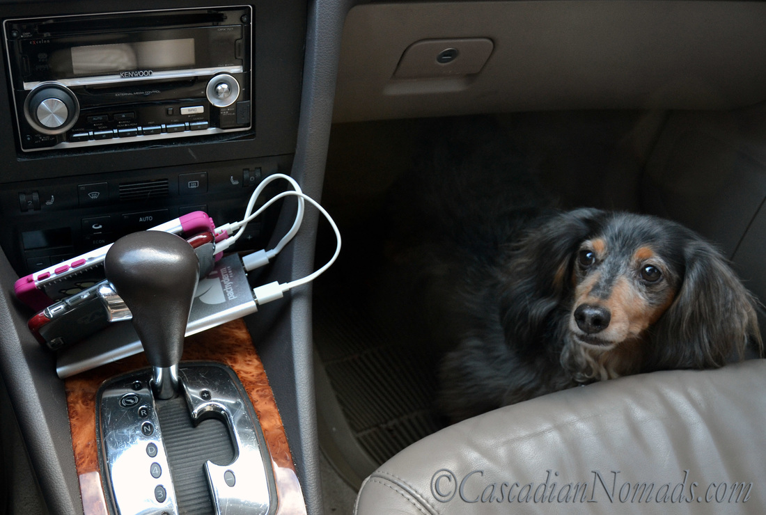 Pachyderm POWER 10,000mAh Portable Device Charger/Power Bank charges two iPhones on a pet friendly road trip.