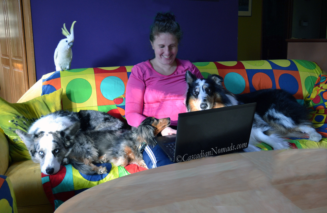 Pet Friendly Travel Isn't Always An Excitingly Glamorous Adventure: The Cascadian Nomads pet friendly trip planning regimen