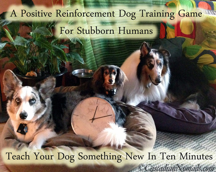 A Positive Reinforcement Training Game For Stubborn Humans: Teach Your Dog Something New In Ten Minutes
