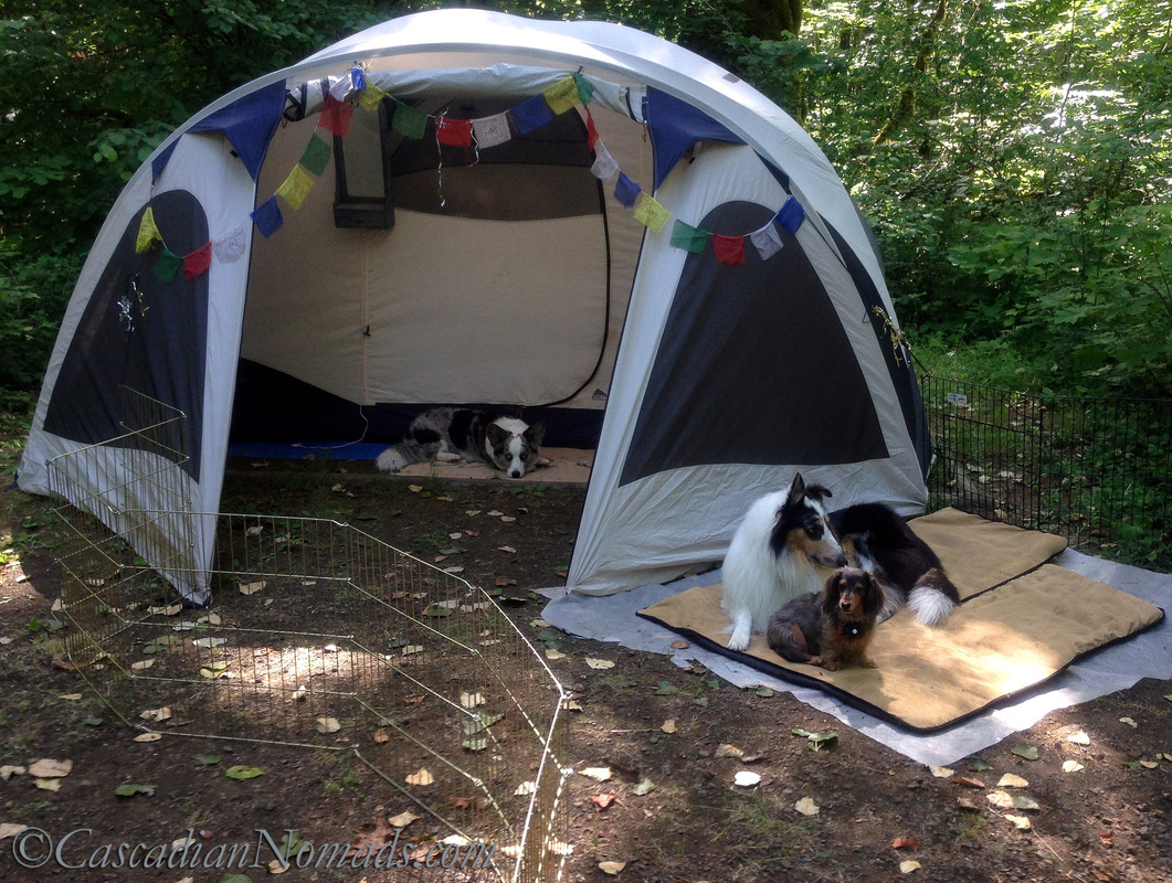 Solo Travel With Pets: What To Do When Nature Calls, a portable toilet can be easily set up inside the vestibule of a large tent pictured with three camping dogs