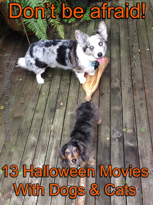 Scaredy Cats & Spooky Dogs: 13 Movies For Halloween With Dog & Cat Co-Stars
