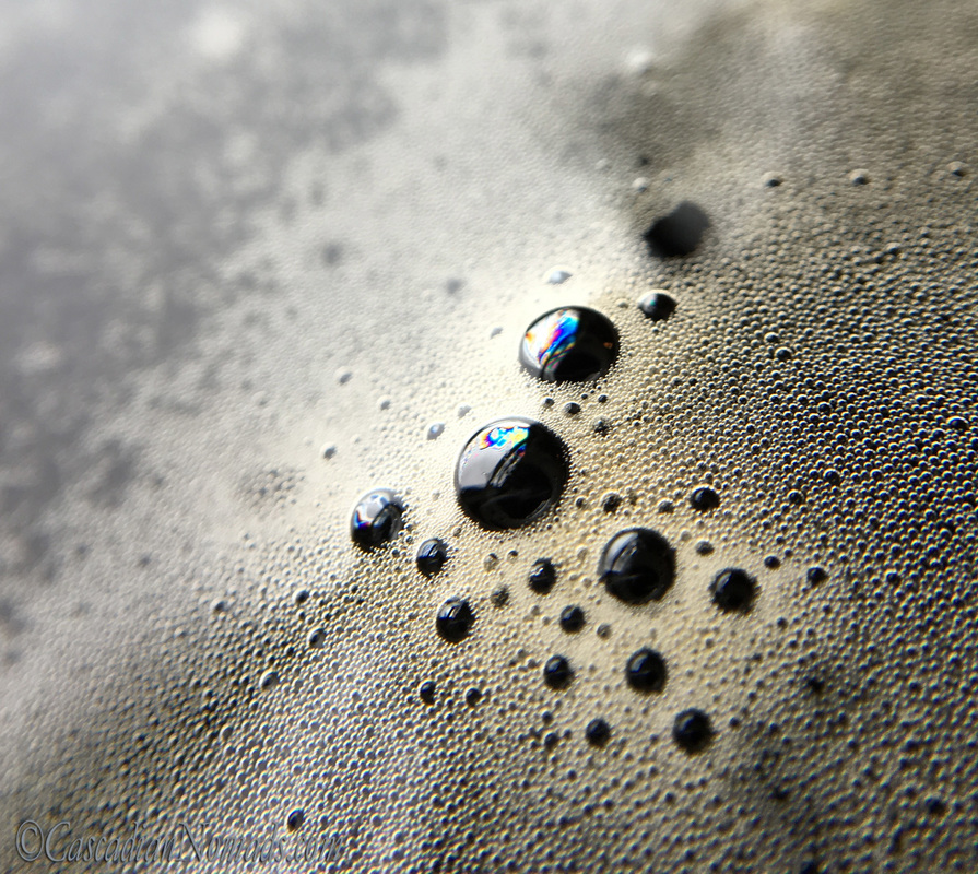 Macro photograph of bubbles in beer at Rogue Brewery, Astoria, Oregon, Cascadia. #DogwoodWeek6 #Dogwood52