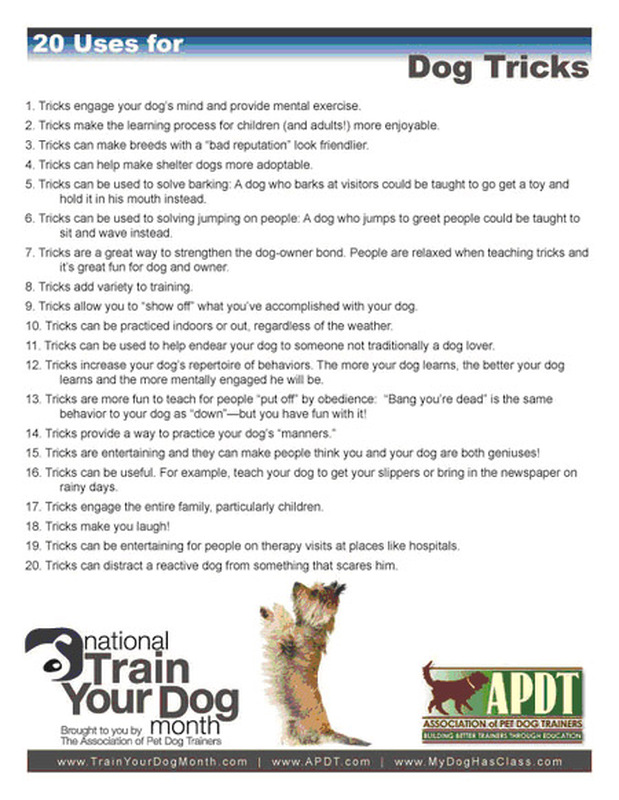 20 Uses For Dog Tricks