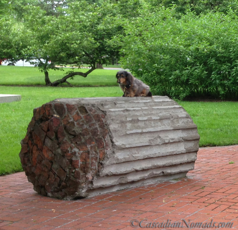 A miniature long haired dachshund perched upon an Oregon state capitol column segments, Salem, Oregon