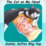 Cat On My Head Sunday Selfies Blog Hop