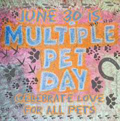 Multiple Pet Day is June 30th