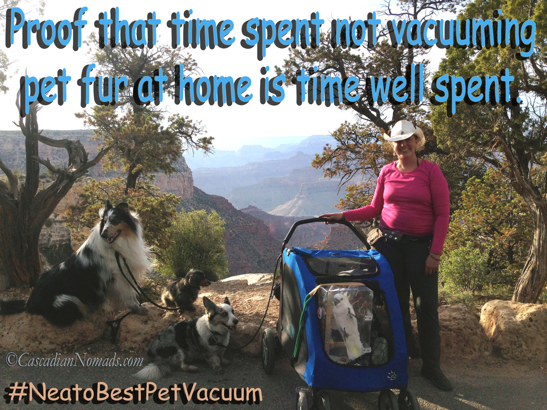 Proof that time spent not vacuuming pet fur at home is time well spent. #NeatoBestPetVacuum