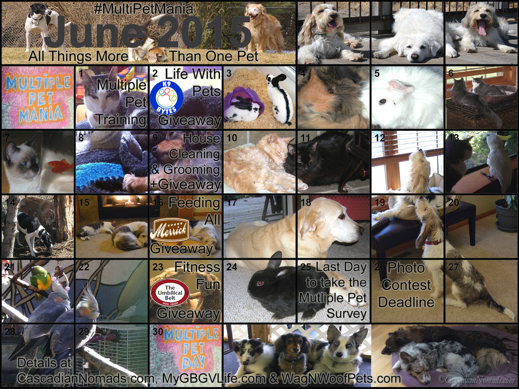 June 2015 Multiple Pet Mania Month Calendar