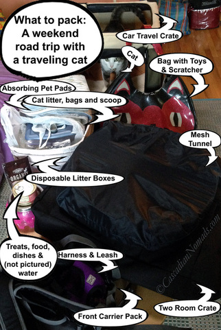 What To Pack: A weekend road trip with a traveling cat.