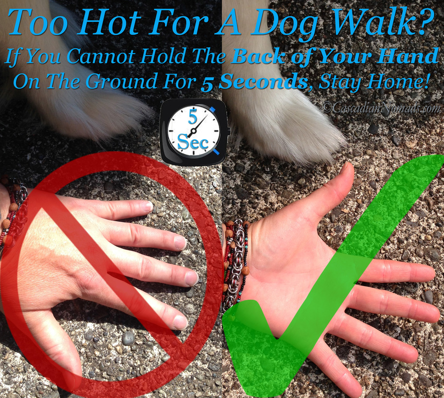 Too Hot For A Dog Walk? If You Cannot Hold The Back Of Your hand On The Ground For 5 Seconds, Stay Home!