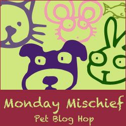 Monday Mishief Pet Blog Hop