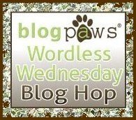 BlogPaws Wordless Wednesday Blog Hop Badge