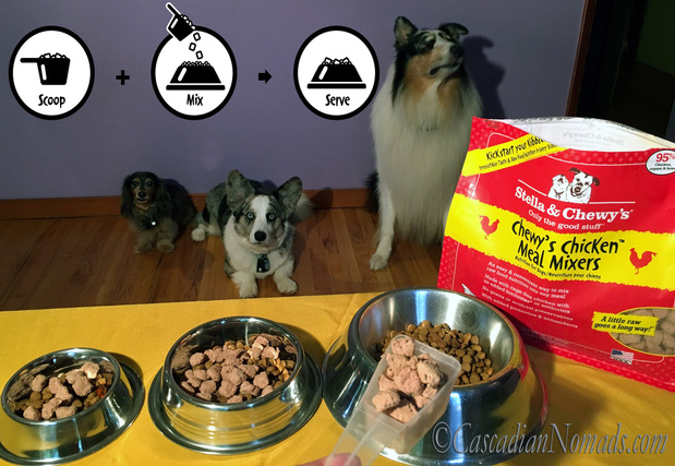 Three dogs anxiously anticipate their scoop, mix and serve Stelle & Chewy's Meal Mixers #KickStartYourKibble