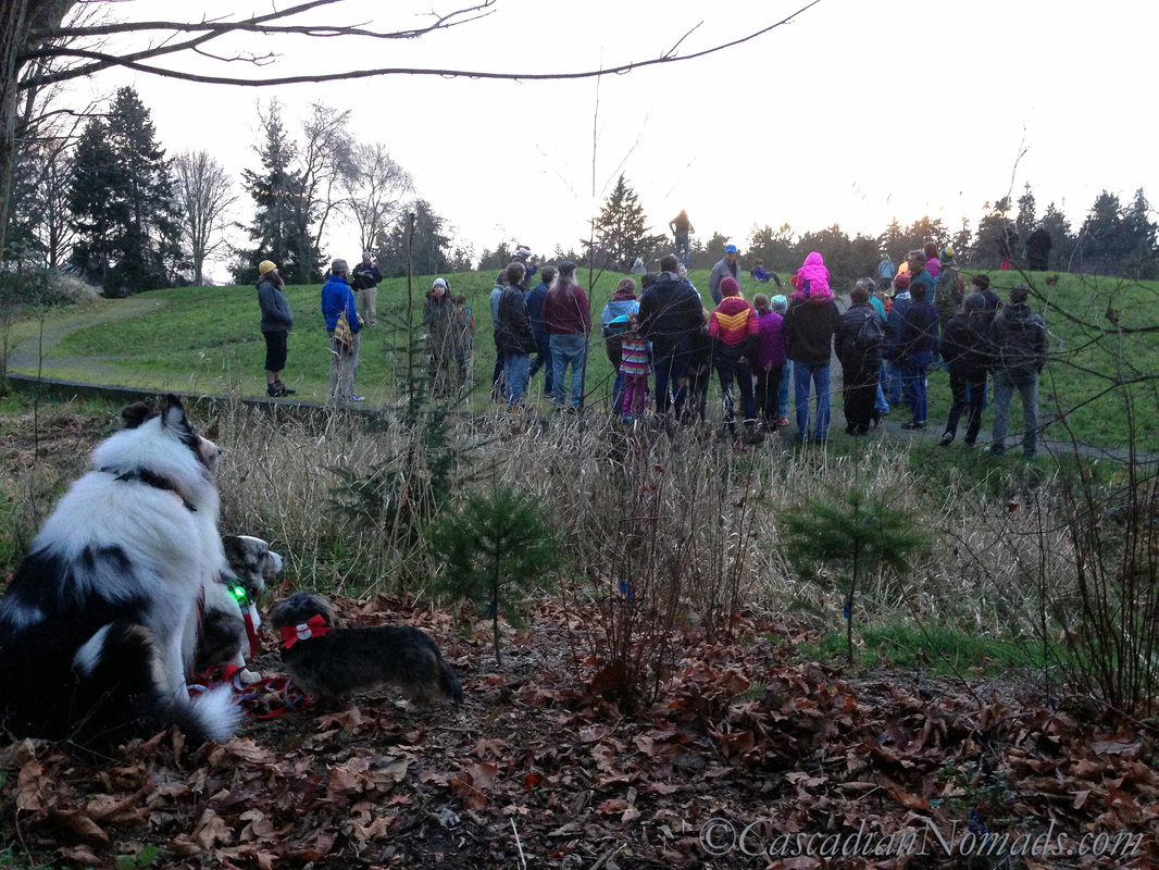 Three dogs watching the first sunset of winter behind the crowd on at the east end of the Winter Solstice trail.