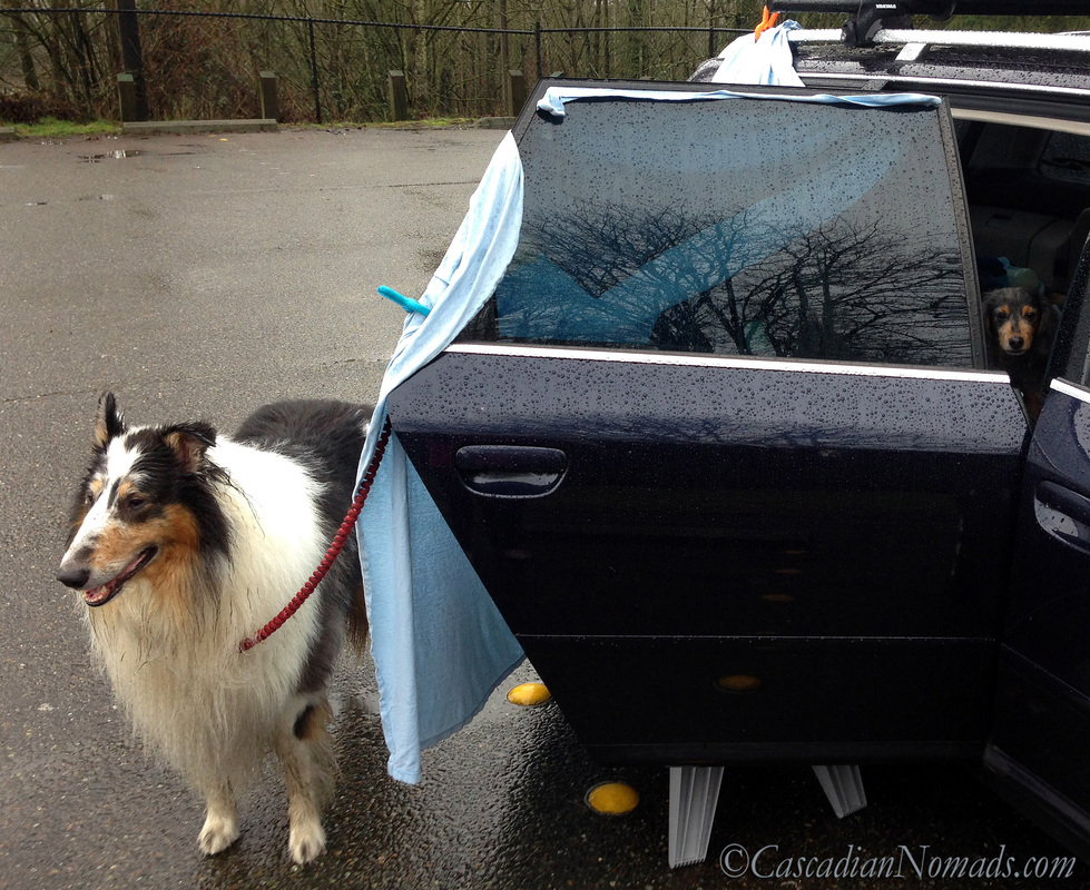 Solo Travel With Pets: What To Do When Nature Calls, how to make a portable toilet privacy screen outside of a car pictured with two traveling dogs