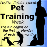 Positive Reinforcement Pet Training Week