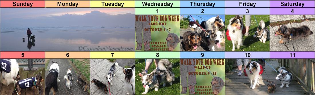 Walk Your Dog Week 2014