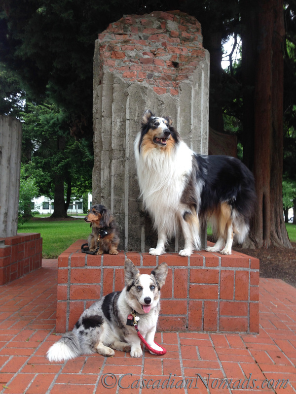 Three dogs pose with the Oregon state capitol column segments, Salem, Oregon