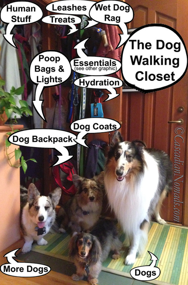 The Dog Walking Closet: Get Organized And Get Walking #DogWalkingWeek