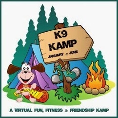 K9 Kamp: A Virtual Fun, Fitness & Friendship Kamp
