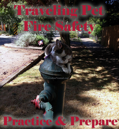 Traveling Pet Fire Safety Tips