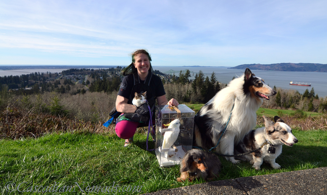 The five traveling pets of the Cascadian Nomads and Cascadian Nomads Bethany proving that proper pet friendly travel planning pays off, Astoria, Oregon, Cascadia