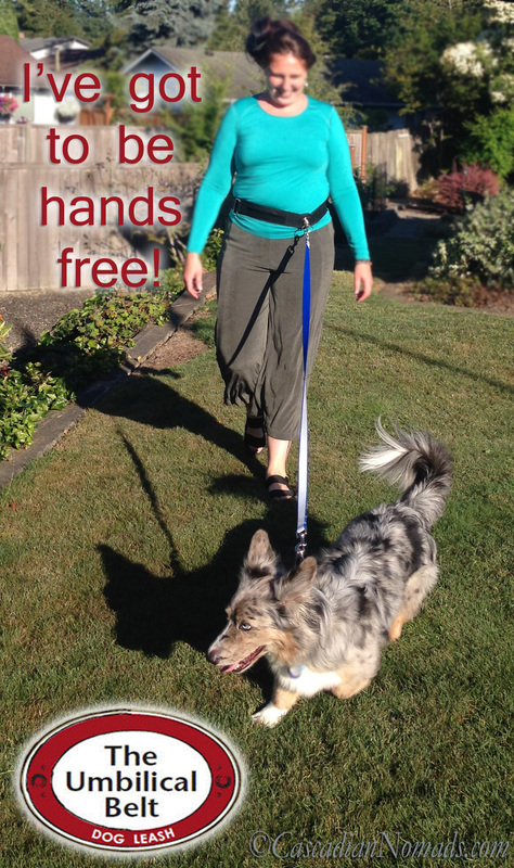 I've got to be hands free with The Umbilcal Belt Hands Free Dog Leash