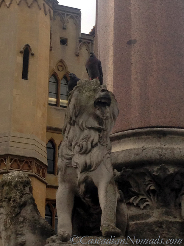 Pigeons on a lion statue at Westminster Abbey, London, England