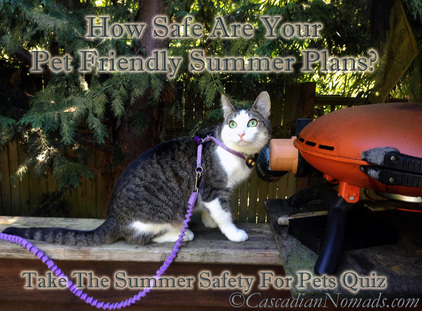 How Safe Are Your Pet Friendly Summer Plans? Take The Summer Safety For Pets Quiz! Bonus Pet Safety Tip: Do not leave pets unattended around BBQ's