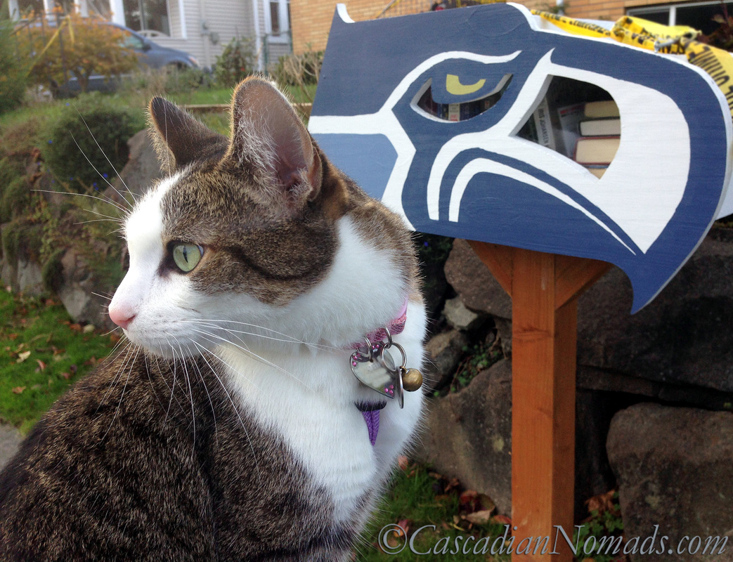 Cat Amelia's selfie showing off her matching green eye with the Seattle Seahwaks logo on a neighborhood Little Free Library