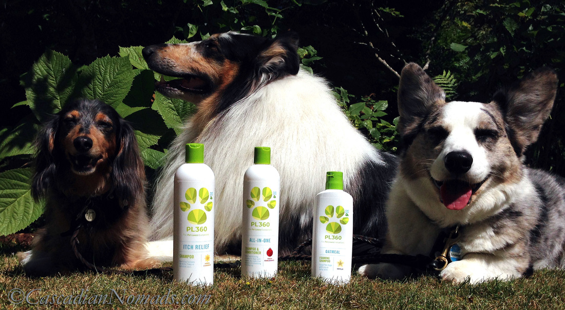 Three dogs with three different grooming needs covered naturally by PL360 products. #MultiPetMania product review.