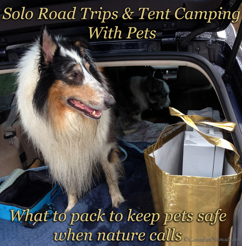 Solo Travel With Pets: What To Do When Nature Calls, Solo Road Trips & Tent Camping With Pets, What To Pack To Keep Pets Safe When Nature Calls 