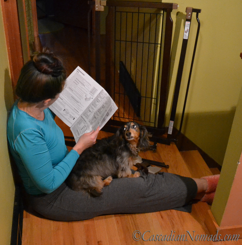 Can dachshunds read? Wilhelm helps with the #RichellPet Hands-Free Pet Gate directions.