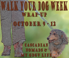 Walk Your Dog Week Wrap-Up
