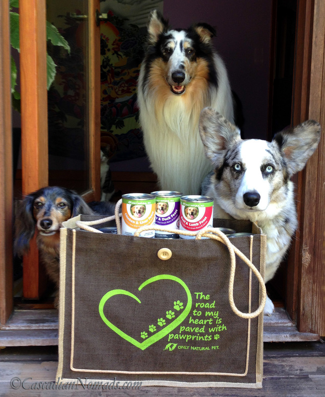Three traveling dogs all packed and ready to go with healthy #PawNatural PowerStew from Only Natural Pet