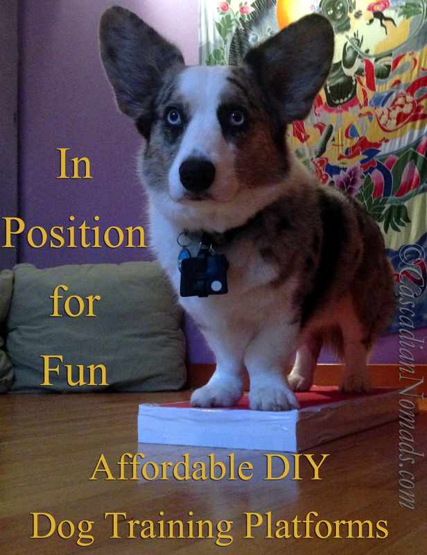 In Position For Fun: Affordable DIY Dog Training Platforms | Positive Pet Training Blog Hop