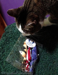 Cat Amelia checks out her K9 Bytes catnip toy three pack