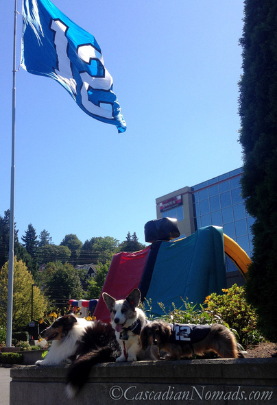 The 12th Dogs and the world's largest Seattle Seahwaks 12 Flag